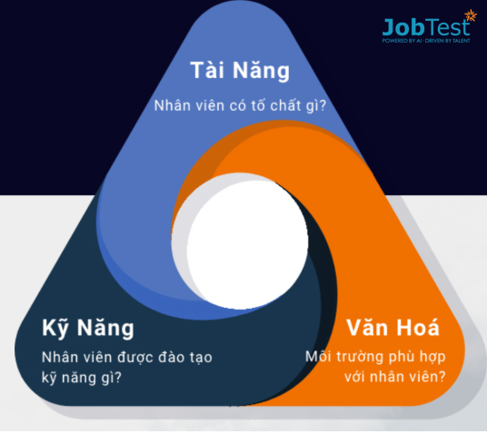 bài đánh giá năng lực